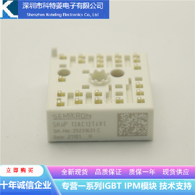 SKIIP13AC12T4V1变频器配件IGBT模块全新13AC12T4V1原装质量保证