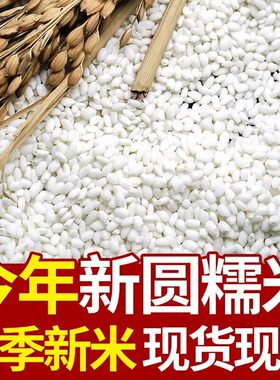 汾都香农家新糯米圆粒白江米包粽子糍粑汤圆酿酒杂粮糖尿病高血压人专用无糖食品糖尿病人专用控糖主食糖尿病人吃的五谷杂粮降血压