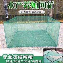 定做水产养鱼网箱泥鳅黄鳝鱼苗龙虾螃蟹存鱼养殖网箱尼龙渔网箱