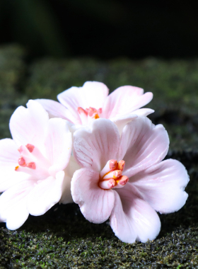 敏豪陶瓷装饰品中式纯手工摆件