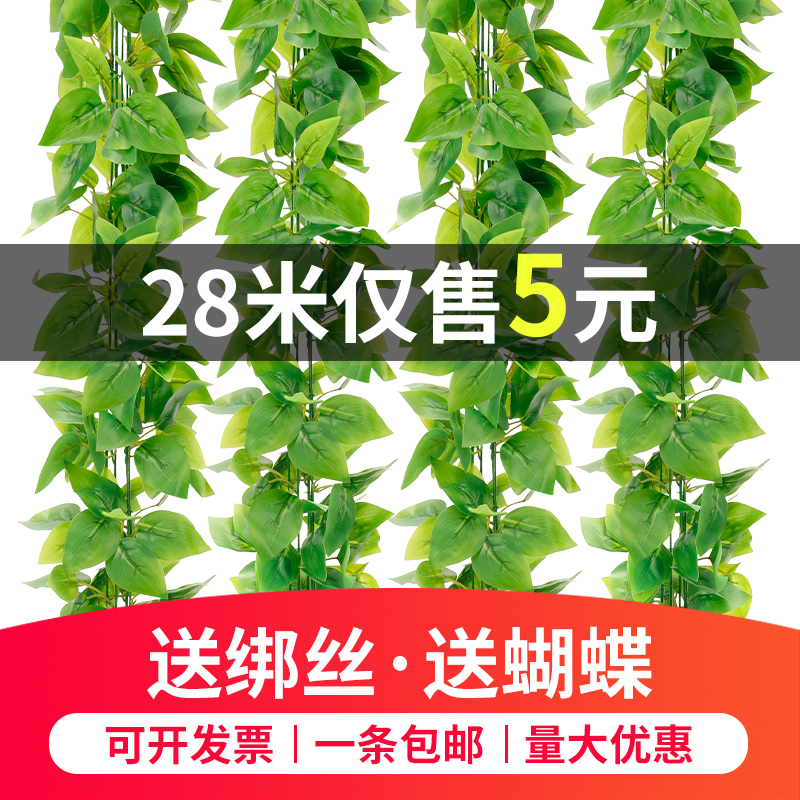 仿真藤条绿萝叶装饰假树叶绿藤