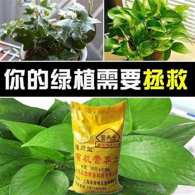 蔷薇花专用营养土有机种菜土壤30斤多肉绿萝泥草炭土通用型花土肥