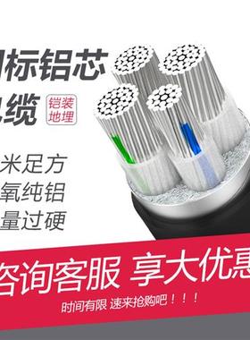 国标铠装地埋铝芯电缆线4芯3+1YJLV22 16 25 35 50 70 95三相四线