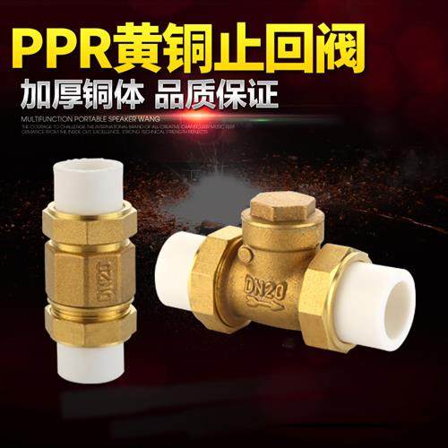 双热熔活接单向卧式逆止PPR黄铜止回阀自来水管4分6分1寸20 25 32