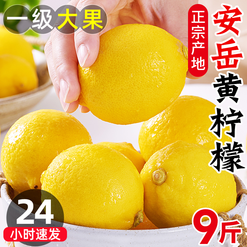 四川安岳黄柠檬新鲜水果皮薄一级香水青无籽奶茶店专用果当季特产