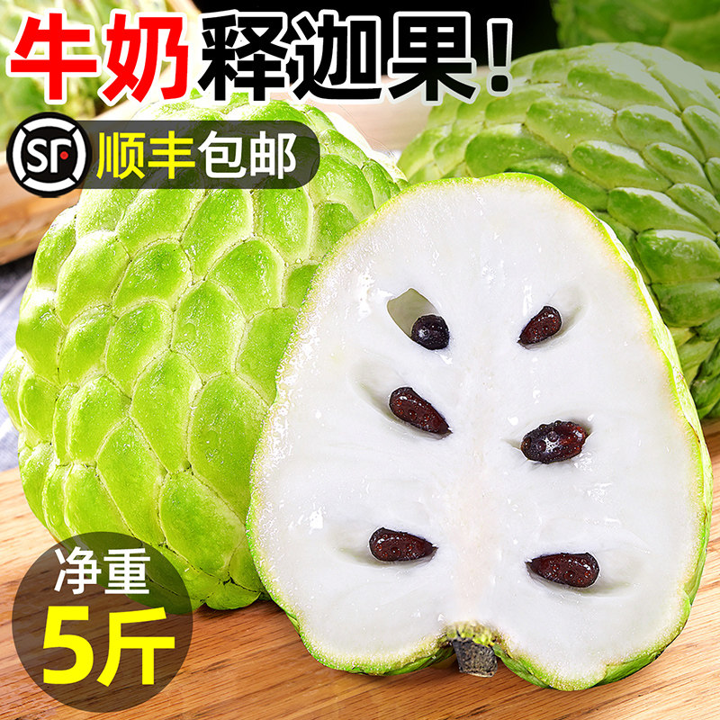 【双11预售】牛奶释迦果新鲜热带水果大果牛奶释迦果番荔枝迦释果怎么看?