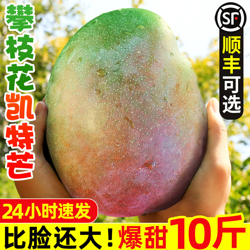 四川攀枝花凯特芒果10斤新鲜水果当季整箱忙青皮特大芒果包邮现货怎么看?