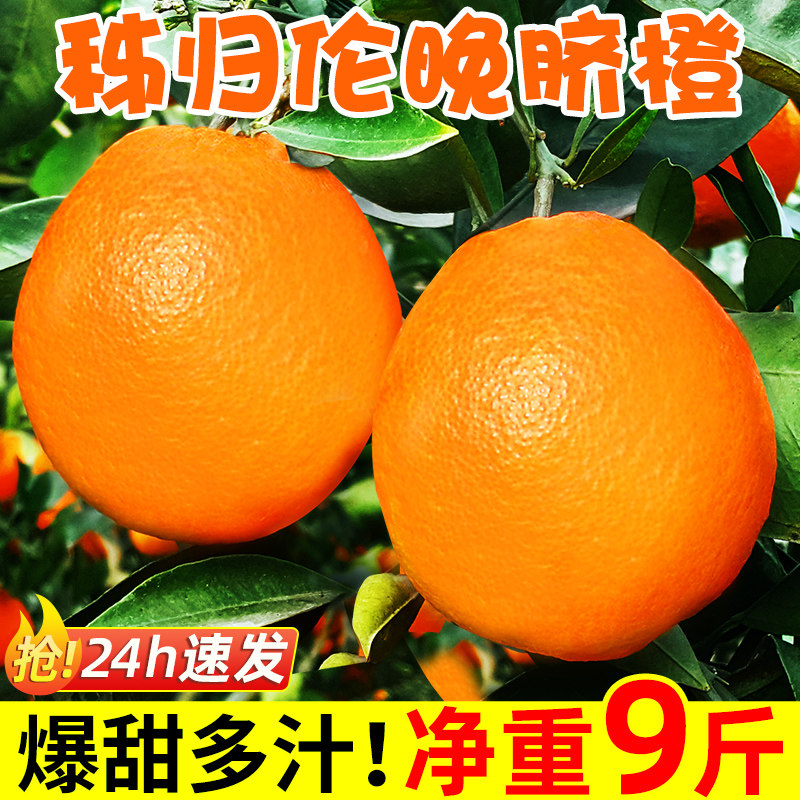秭归伦晚脐橙10斤大果新鲜橙子当季水果手剥冰糖甜橙果冻橙春橙5_虎窝淘