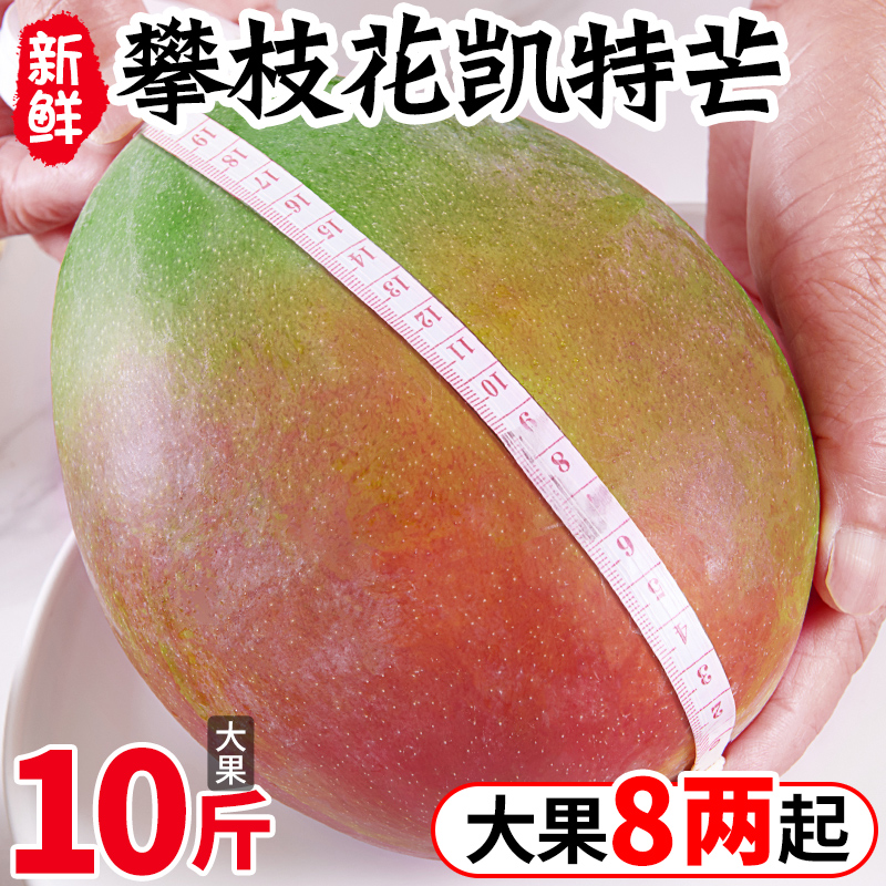 攀枝花凯特芒果新鲜水果10斤当季整箱青皮大芒果忙果特大包邮现摘