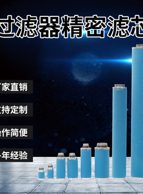 替代德国超滤空气过滤器精密滤芯02/05 03/05 PE/FF/MF/SMF/AK/SF