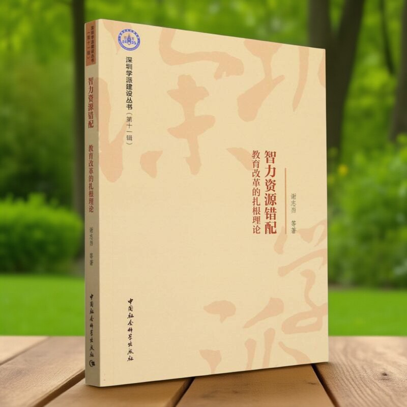 智力资源错配：教育改革的扎根理论 谢志岿等著 深圳学派建设丛书 教育 中国社会科学出版社官方正版