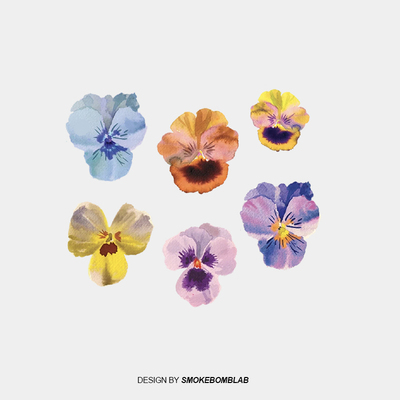 smokebomblab 植物花卉 三色堇 花朵防水纹身贴纸