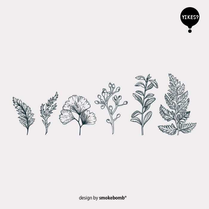 smokebomblab kids写实 素描 树叶 银杏 花草 线条感 植物纹身贴