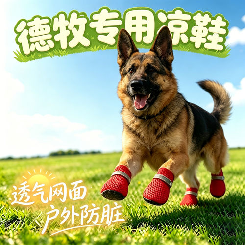 德牧幼犬专用狗狗凉鞋小狗鞋子夏透气宠物狗鞋夏季防脏外出遛弯鞋
