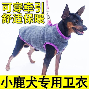 小鹿犬宠物狗狗专用卫衣小型犬小体可牵引绳两脚泰迪衣服冬天保暖