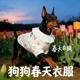 全棉纱透气宠物小狗背心大型犬春夏天季 杜宾专用狗狗衣服春装 薄款
