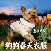约克夏专用狗狗衣服春装 全棉纱透气宠物小型犬背心小狗春夏天 薄款