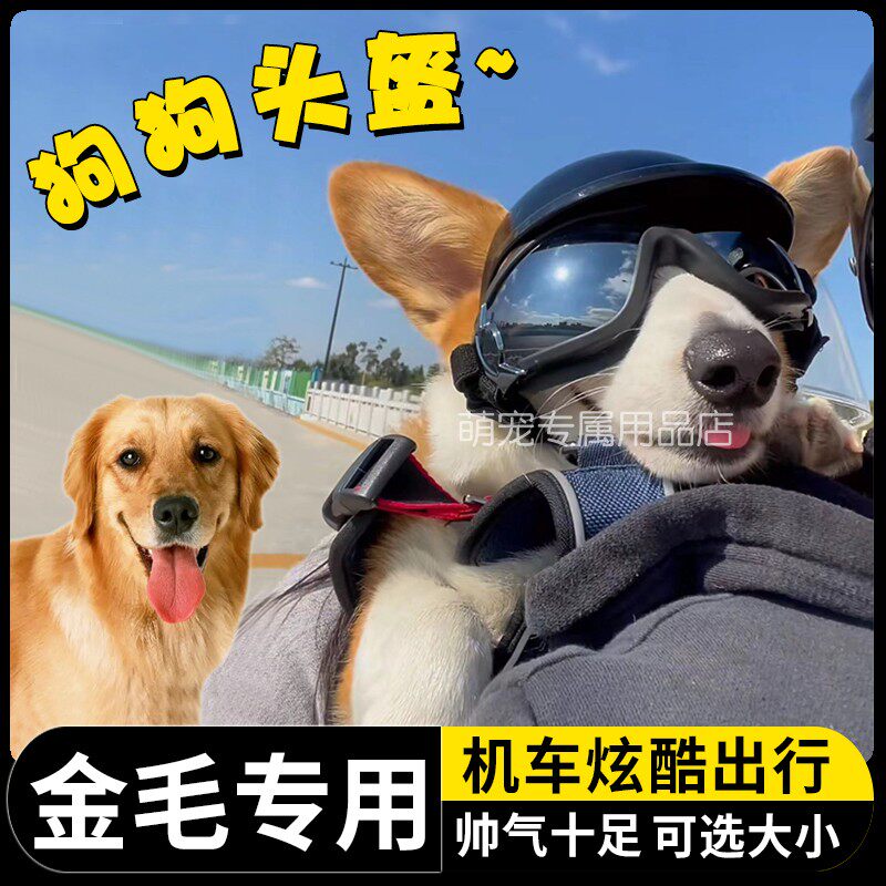 金毛专用狗狗护目镜宠物头盔机车可漏耳朵骑行小狗眼镜防风大型犬