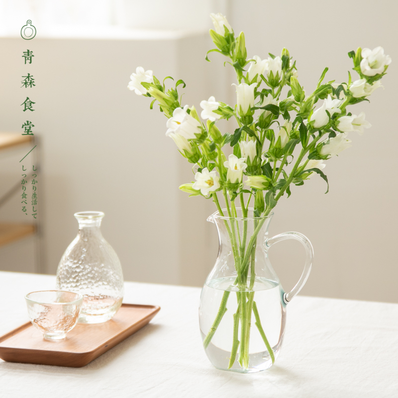 牛奶瓶泡茶耐热玻璃水壶花瓶