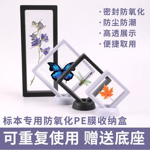 pe膜收纳盒动物化石琥珀昆虫标本收藏保存透明展示架植物干花摆台