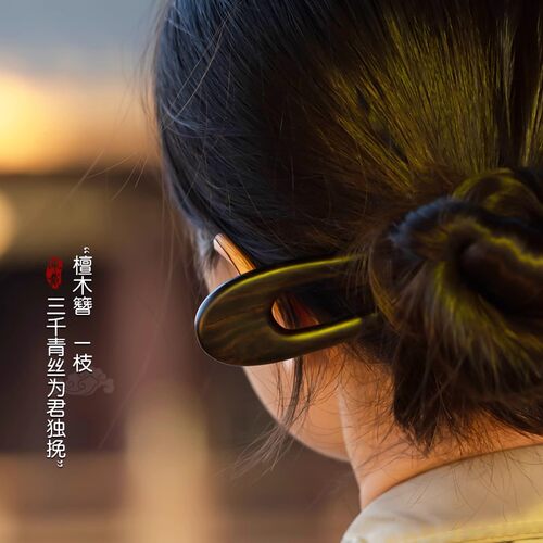 簪子檀木新中式U型发簪新款双钗