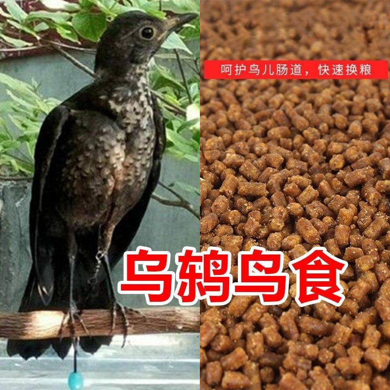 ②乌鸫鸟食饲料百舌鸟食八哥鹩哥红嘴山鸦喜鹊鸟食