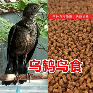 乌鸫鸟食饲料百舌鸟食八哥鹩哥山鸦喜鹊鸟食
