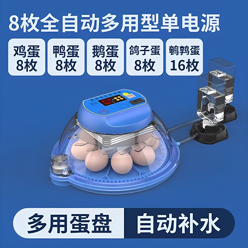 柯尔鸭鹦鹉小鸡儿童全自动孵化器