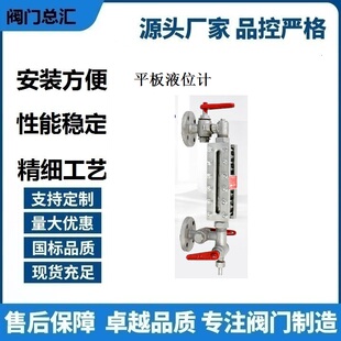 B49X-2.5平板锅炉水位计B42X-2.5锅炉水位表锅炉双色水位计水位计