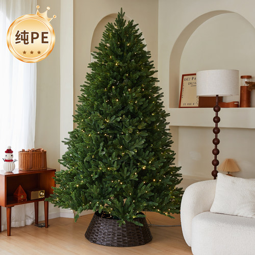 2025新款PE圣诞树摆件仿真裸树