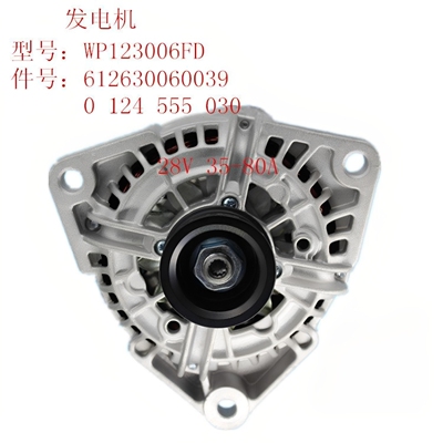 潍柴德龙发电机WP123006FD28V