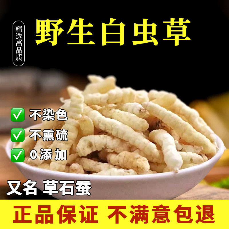 特级云南野生白虫草参草石蚕地蚕地参中草药材正品泽兰根产地直发
