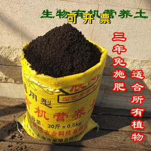 有机玫瑰盆栽透气菜园月季