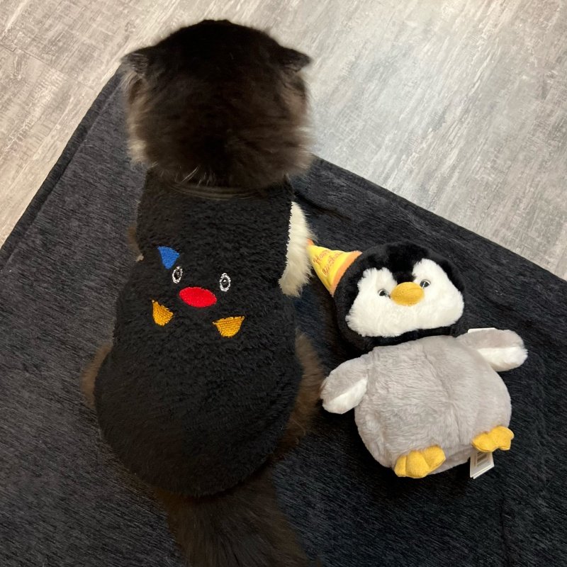 企鹅可爱宠物猫咪衣服冬季加绒保暖无袖背心式防掉毛防寒防冻弹力,宠物/宠物食品及用品,猫宠物服装/雨衣（新）,淘宝优惠券,粉丝福利购,淘宝优惠卷