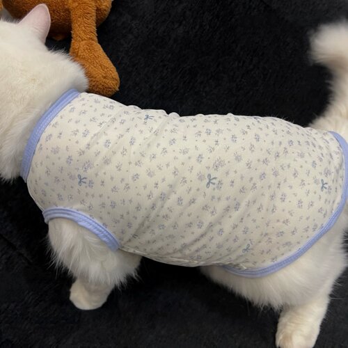 网纱布碎花猫咪衣服无袖背心薄款