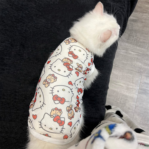 猫咪衣服夏季薄款kt猫背心法兰绒
