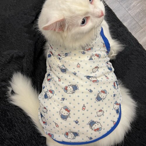 夏天透气猫咪衣服无袖背心防掉毛