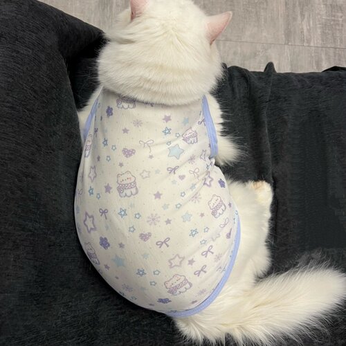 网纱布薄款可爱猫咪衣服无袖背心