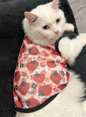网纱布黑色蝴蝶草莓宠物猫咪衣服夏季天薄款透气无袖背心式防掉毛