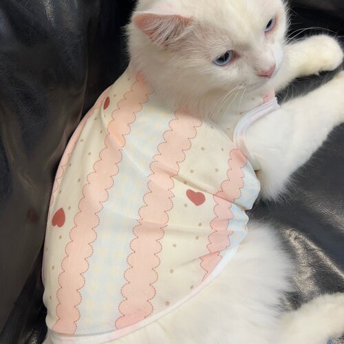 夏天清凉猫咪衣服背心式防掉毛夏
