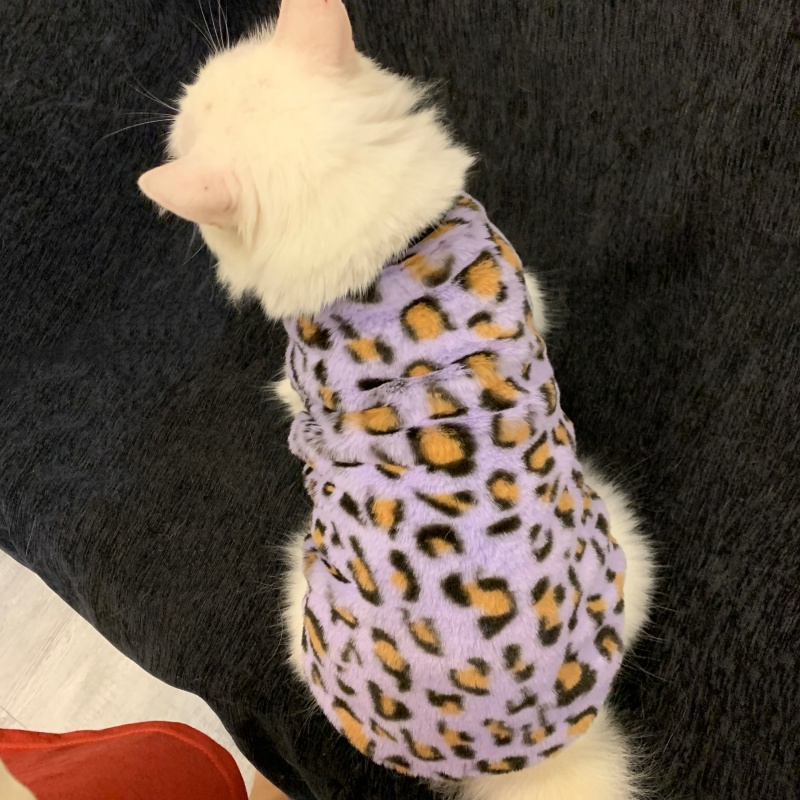 可爱豹纹猫咪衣服背心秋冬季加绒
