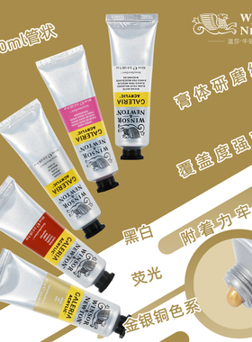 温莎牛顿画廊丙烯颜料60ml管状钛白黑色金银铜荧光色系手绘墙绘专用画DIY纺织画手绘涂鸦颜料