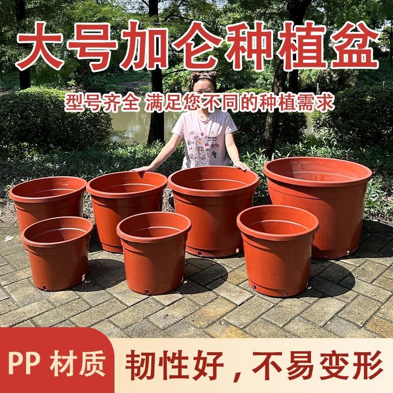 种植加厚特大口径防晒花盆黑加仑盆尺寸高桶盆绣球蓝莓控根定植盆,鲜花速递/花卉仿真/绿植园艺,花盆,淘宝优惠券,粉丝福利购,淘宝优惠卷