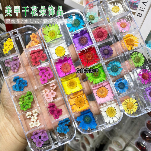 日系美甲12色干花饰品