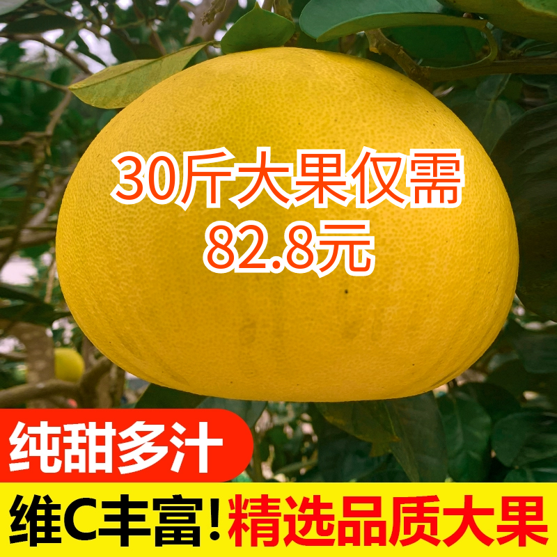 重庆特产正宗梁平柚子70年老树龙滩柚现摘现发新鲜水果包邮