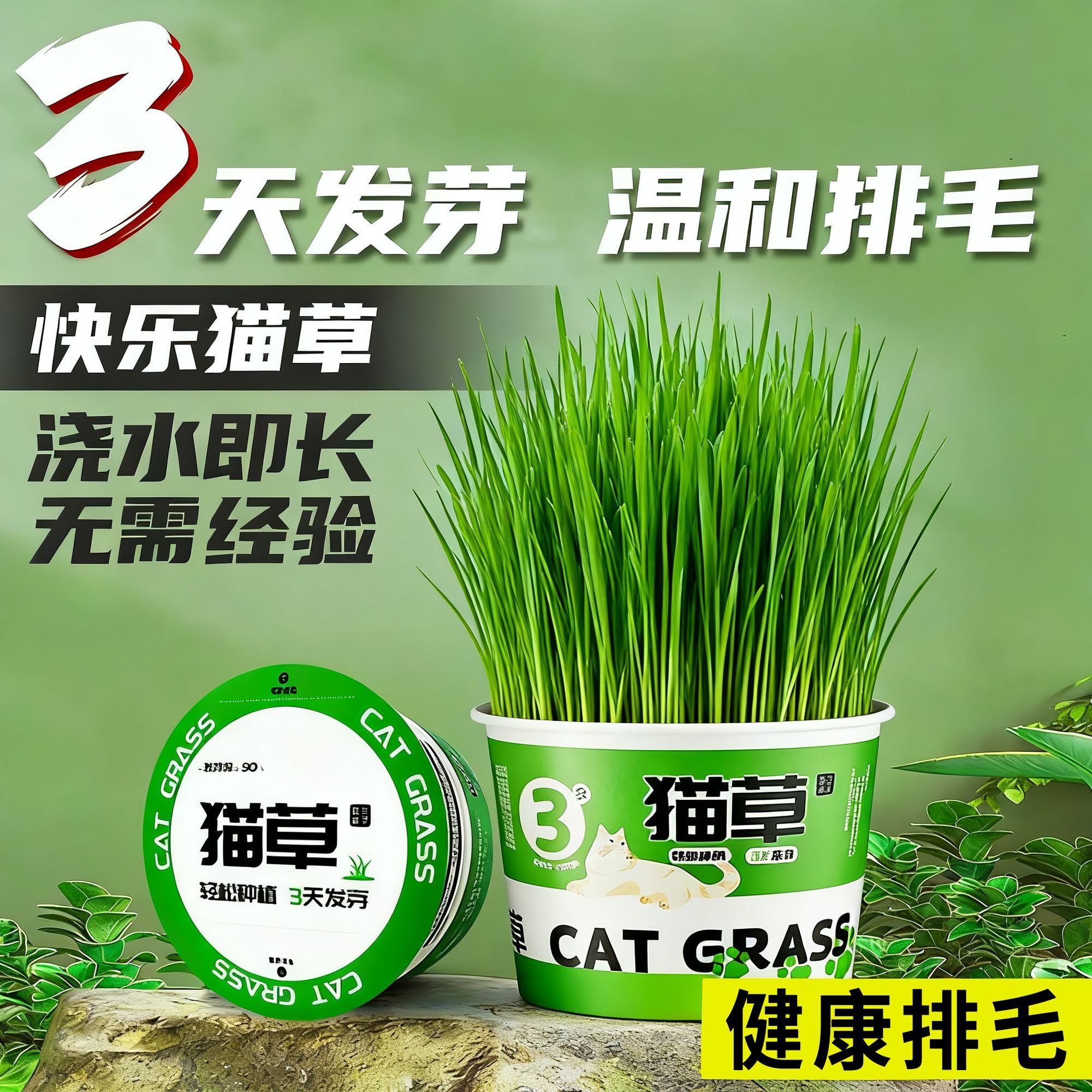 懒人泡面猫草盆栽种子猫咪用品大全猫猫零食轻松温和排毛化草毛