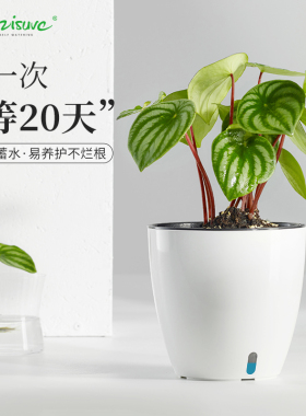 养绿萝绿箩花盆白色懒人自吸水塑料免浇水盆桌面储水套盆养花专用