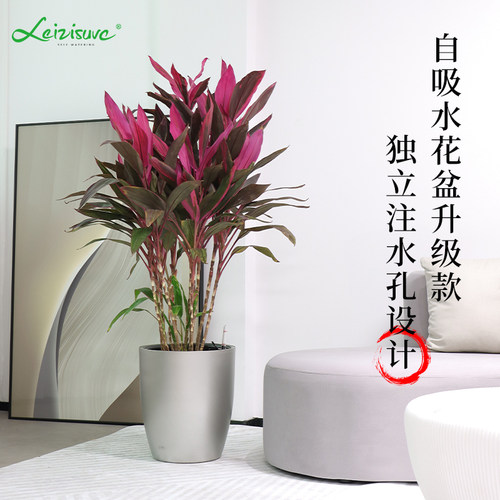 升级款自吸水落地树脂双桶花盆