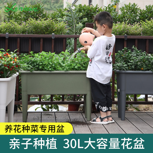 PP树脂加厚庭院阳台种菜盆
