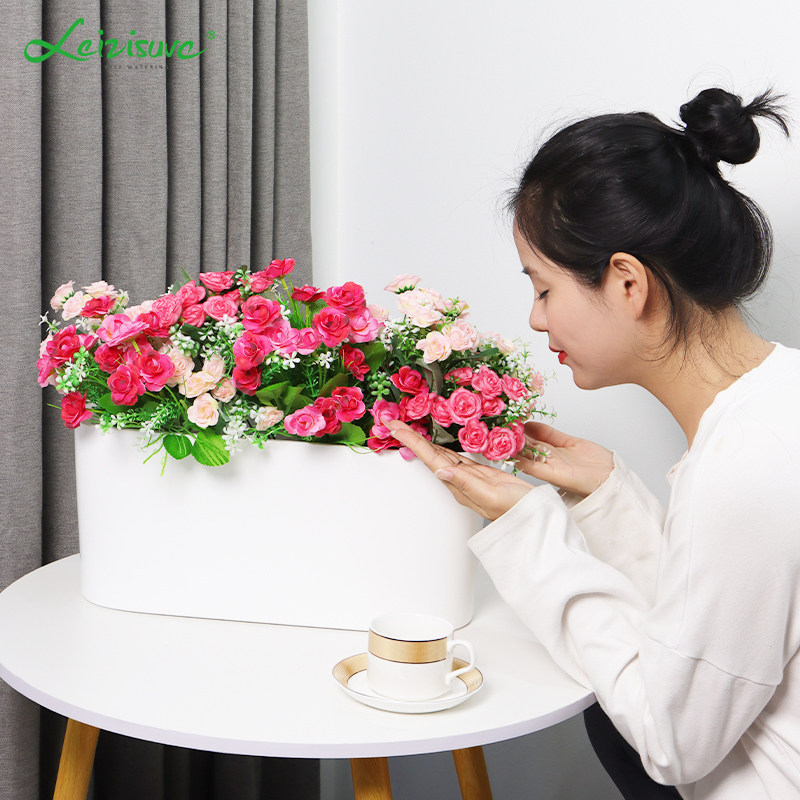 莱之秀简约懒人自吸水花盆图片